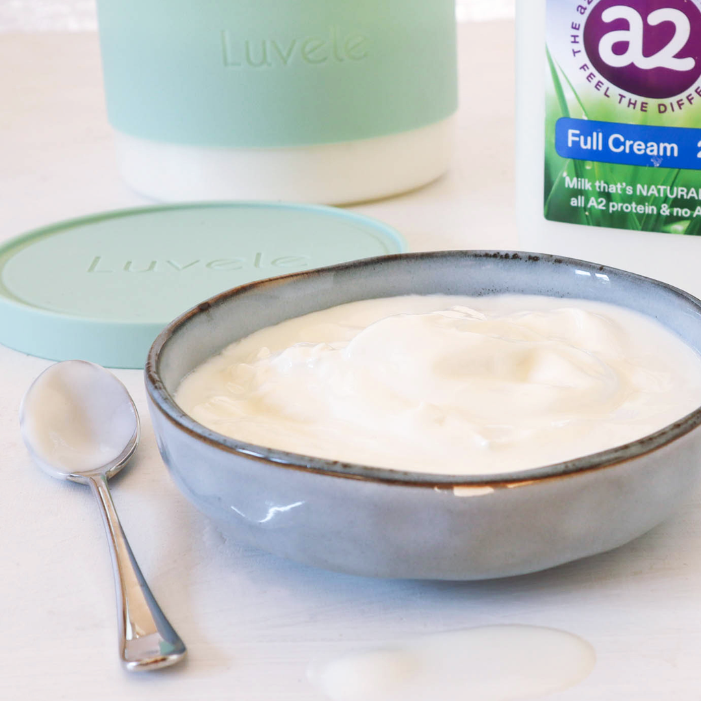 Easy to digest homemade A2 milk yogurt recipe