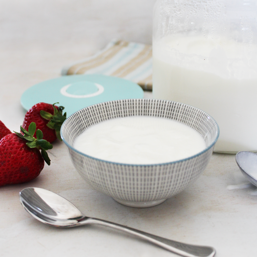 Recette yaourt 24 heures lait de chèvre pour régime SCD et GAPS