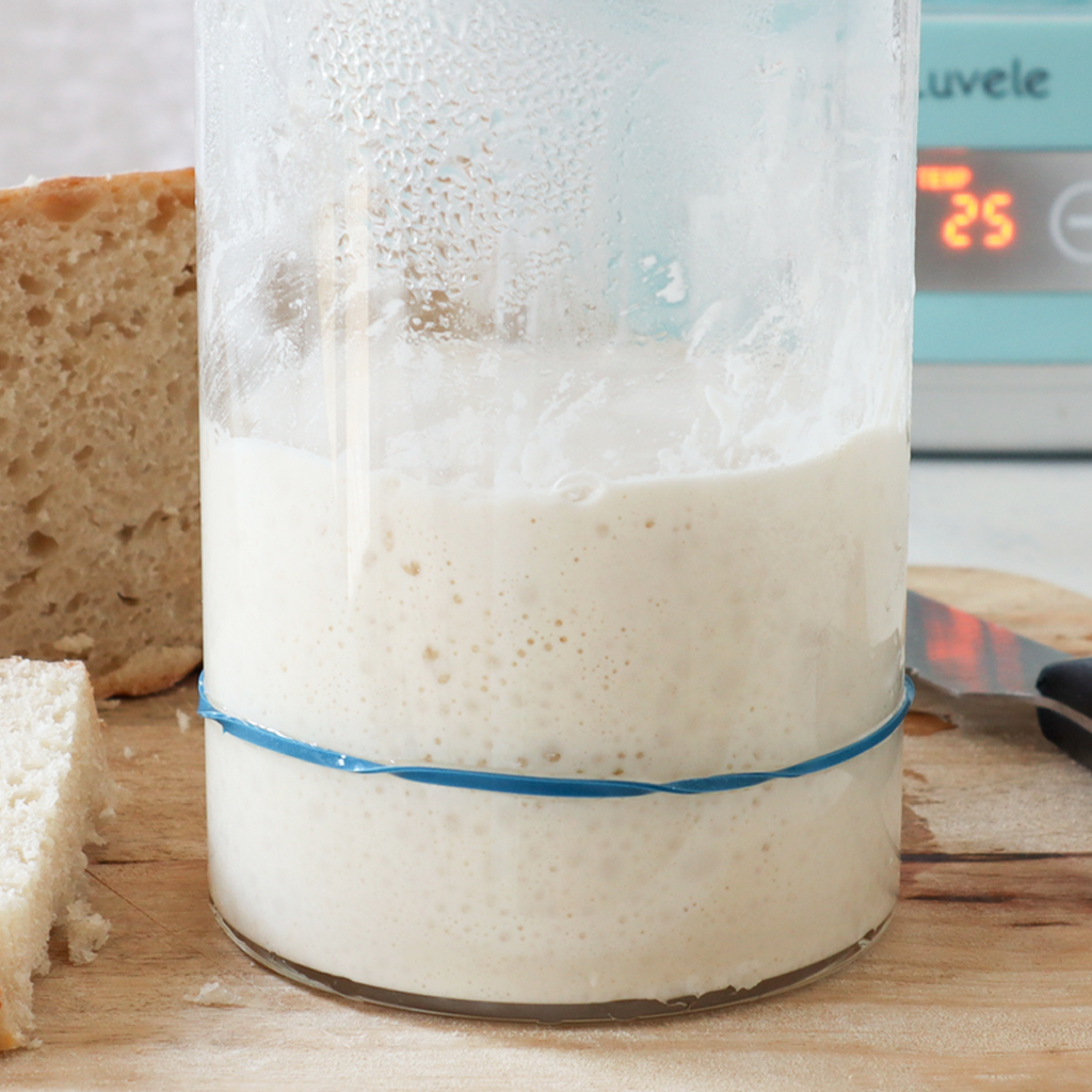 Make Sourdough Bread Starter in a Luvele Yogurt Maker